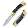 Buck Knives 110 Folding Hunter with Sheath