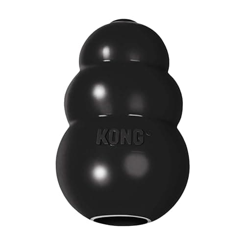 KONG Extreme Rubber Dog Toy
