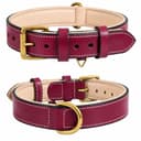 DowgClub Genuine Leather Padded Dog Collar