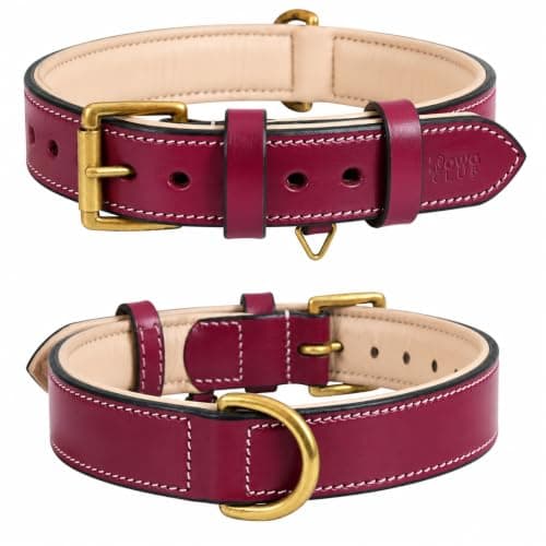 DowgClub Genuine Leather Padded Dog Collar