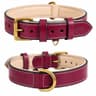 DowgClub Genuine Leather Padded Dog Collar
