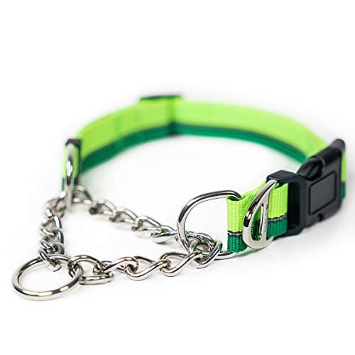 Mighty Paw Martingale Dog Collar