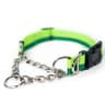 Mighty Paw Martingale Dog Collar